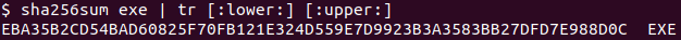 Exe sha256 sum and tr output