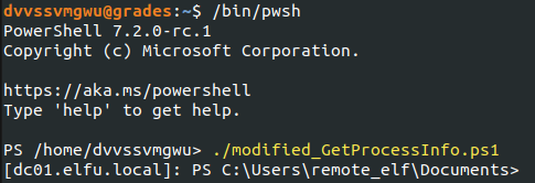 Running the modified PowerShell script
